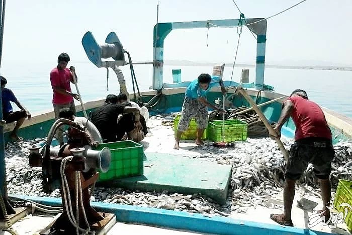 تاریخچه ماهیگیری در ایران و جهان تاریخچه ماهیگیری